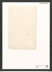 Diatomeae indet. Zeichnungen Sammlung Grunow (NHMW-BOT-W0370828)
